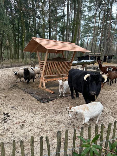 Grote foto hooiruif alpaca hert ree schaap pony ed dieren en toebehoren toebehoren