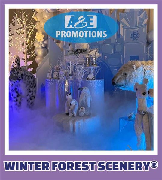 Grote foto enchanted winterforest rental amsterdam haarlem hobby en vrije tijd feestartikelen