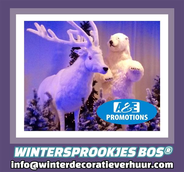 Grote foto enchanted winterforest rental amsterdam haarlem hobby en vrije tijd feestartikelen