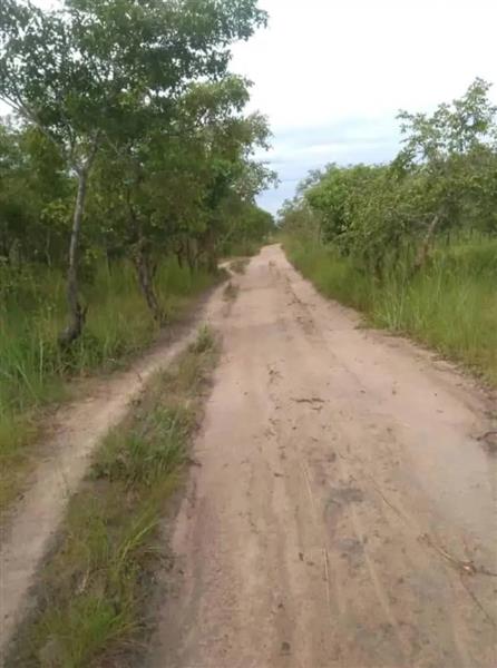Grote foto 60 hectare land te koop in zambia afrika agrarisch landbouw