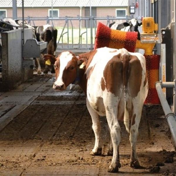 Grote foto roterende koeborstel de krazzmaxx dieren en toebehoren runderen