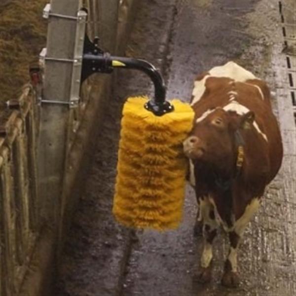 Grote foto koeborstel model pendel dieren en toebehoren runderen
