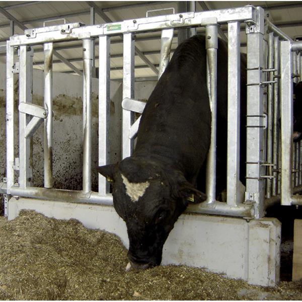 Grote foto veiligheidsvoerhek voor stieren dieren en toebehoren runderen