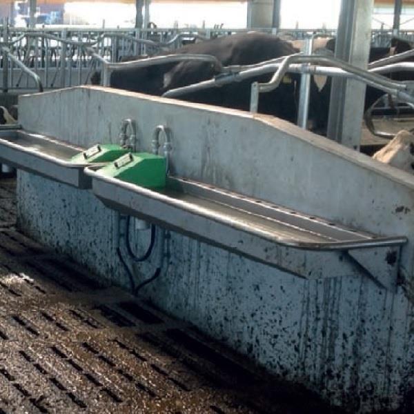 Grote foto drinkbak rvs spinder pingo 100 muurbevestiging dieren en toebehoren runderen