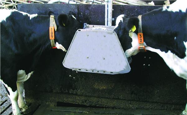 Grote foto dubbele ventiel drinkbak model suevia 520 dieren en toebehoren runderen