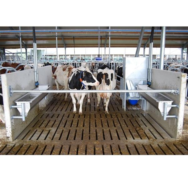 Grote foto slagboom eenvoudig lengte 200 400 cm dieren en toebehoren runderen