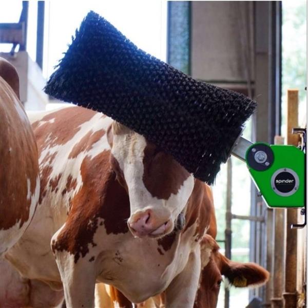 Grote foto verbeterde roterende koeborstel spinder nirvana 24v dieren en toebehoren runderen
