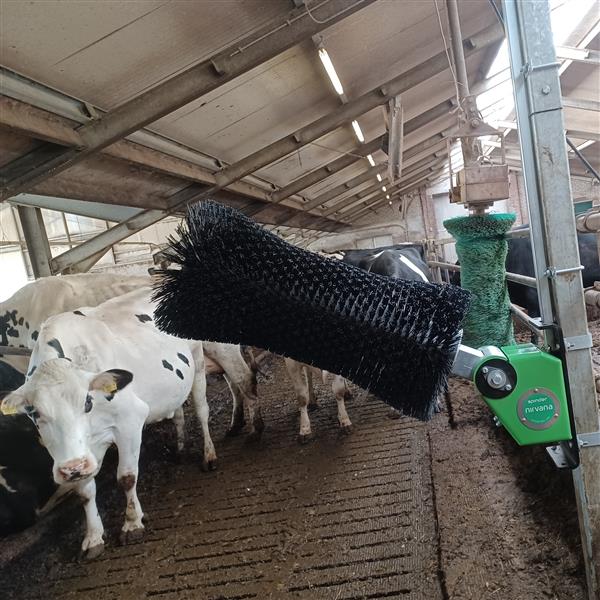 Grote foto verbeterde roterende koeborstel spinder nirvana 24v dieren en toebehoren runderen