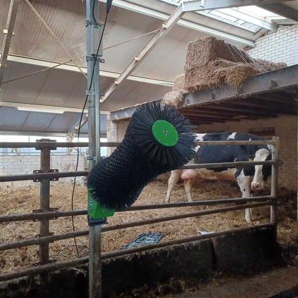 Grote foto verbeterde roterende koeborstel spinder nirvana 24v dieren en toebehoren runderen