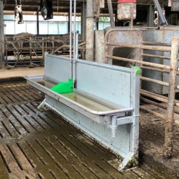 Grote foto rvs renovatie drinkbak spinder pingo reno 300 met spatplaat dieren en toebehoren runderen