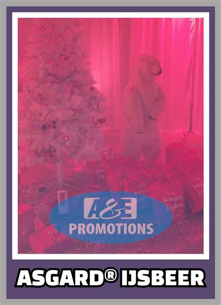 Grote foto ice edition decoratie verhuur noordwijk delft hobby en vrije tijd feestartikelen verhuur