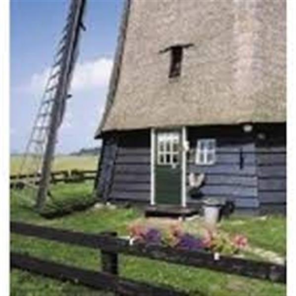 Grote foto tenco houtcoat zwart 5 liter doe het zelf en verbouw verven en sierpleisters