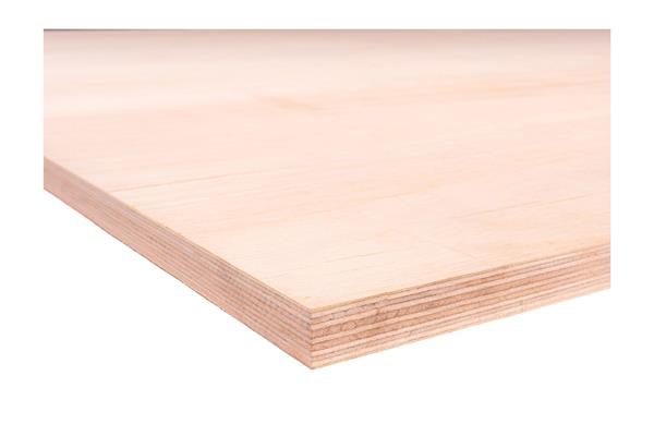Grote foto multiplex b bb 122x244cm 18mm hardwood doe het zelf en verbouw hout en planken