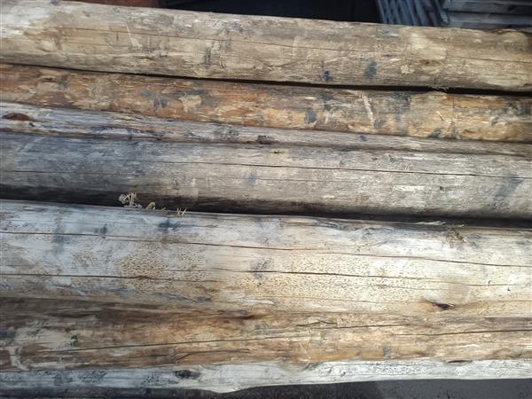 Grote foto cloeziana kop 12 400cm duurzaamheid klasse 1 doe het zelf en verbouw hout en planken
