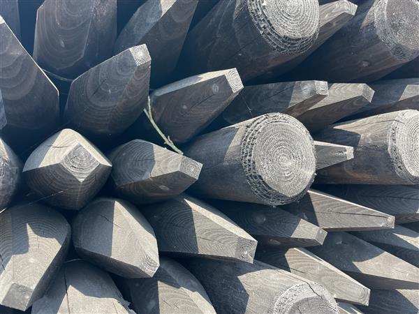 Grote foto dura2 200cm kop 10 doe het zelf en verbouw hout en planken