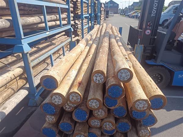 Grote foto cloeziana kop 12 500cm duurzaamheid klasse 1 doe het zelf en verbouw hout en planken