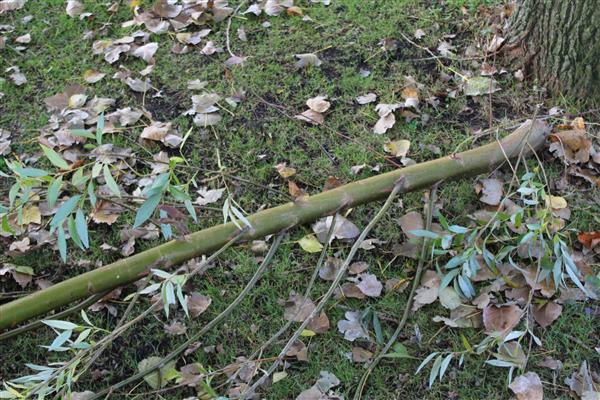 Grote foto kraffter bio versnipperaar 8cm aftakas tuin en terras tuingereedschap