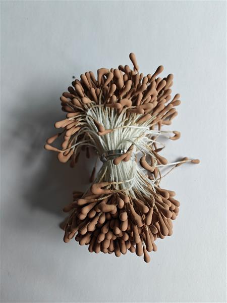 Grote foto meeldraad meeldraden creme 1 mm 576 stuks pak meeldraden verzamelen overige verzamelingen