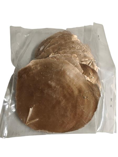 Grote foto capiz shell camar goud 250 gram geverfde schelpen verzamelen overige verzamelingen