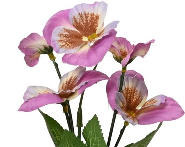 Grote foto actie viool viooltje zijdebloem roze rechtsonder op foto dia7.5cm h.18cm stuk viola zijdebloem verzamelen overige verzamelingen