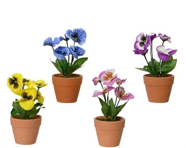 Grote foto actie viool viooltje zijdebloem geel linksonder op foto dia7.5cm h.18cm stuk viola zijdebloem verzamelen overige verzamelingen