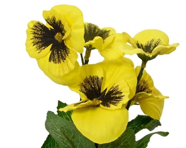 Grote foto actie viool viooltje zijdebloem geel linksonder op foto dia7.5cm h.18cm stuk viola zijdebloem verzamelen overige verzamelingen