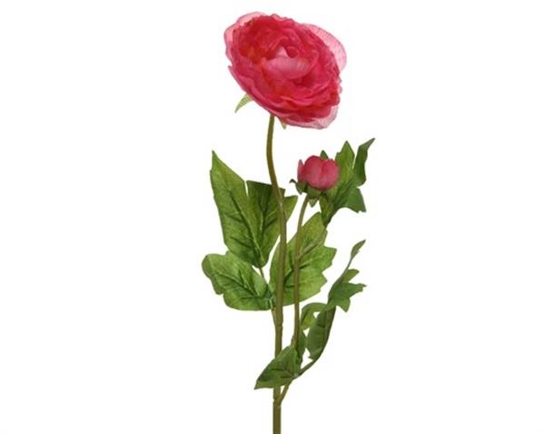 Grote foto actie ranonkel camelia donkerroze l.8cm w.10cm h.57cm stuk ranonkel camelia zijdebloem verzamelen overige verzamelingen