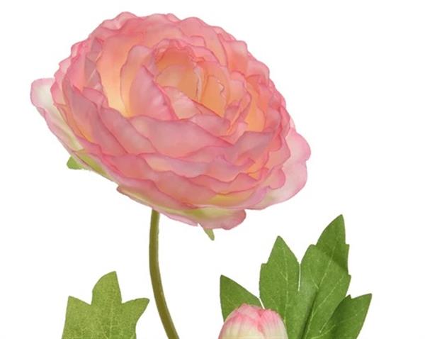 Grote foto actie ranonkel camelia roze l.8cm w.10cm h.57cm stuk ranonkel camelia zijdebloem verzamelen overige verzamelingen