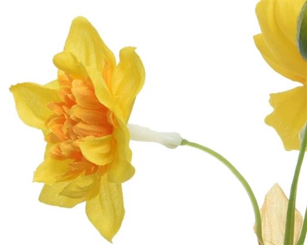 Grote foto actie narcis zijdebloem triple bush geel rechts op foto stuk narcis zijdebloem verzamelen overige verzamelingen