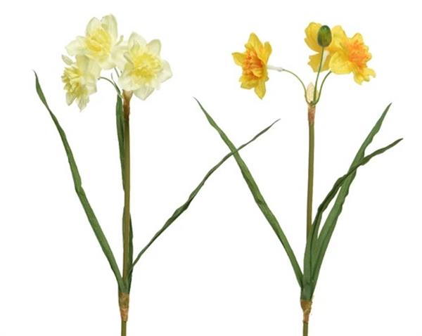 Grote foto actie narcis zijdebloem triple bush wit links op foto stuk narcis zijdebloem verzamelen overige verzamelingen