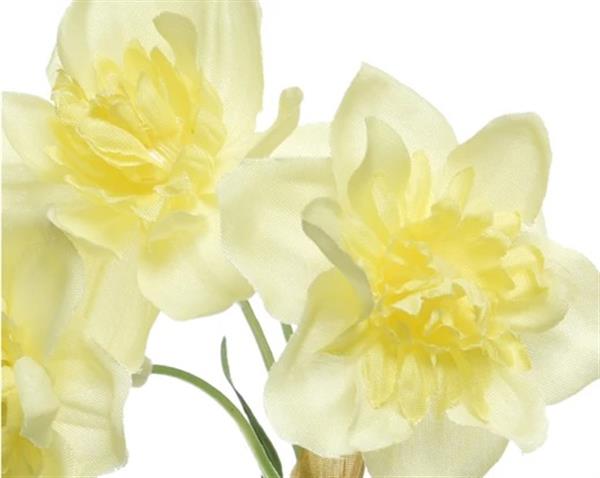 Grote foto actie narcis zijdebloem triple bush wit links op foto stuk narcis zijdebloem verzamelen overige verzamelingen