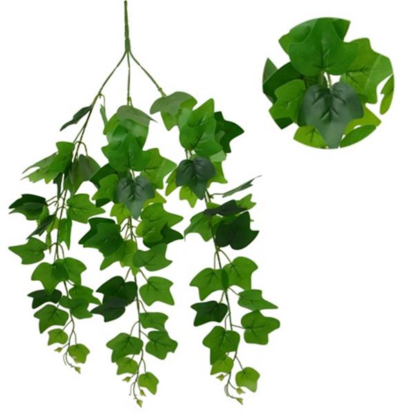 Grote foto hanger vuller hedera groene bladeren groene hangplanten verzamelen overige verzamelingen