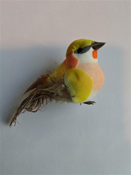 Grote foto vogeltjes geel oranjetinten op draad st mooie vogeltjes op draad verzamelen overige verzamelingen