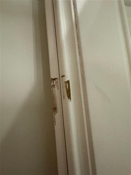 Grote foto cando binnendeur muiden 93x211 5 doe het zelf en verbouw deuren en horren