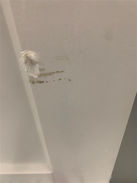 Grote foto cando binnendeur bristol 93x231 5 doe het zelf en verbouw deuren en horren