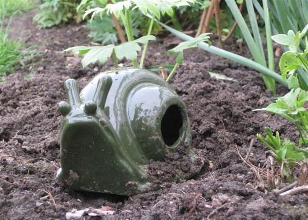 Grote foto slakkenval keramiek fy04 dieren en toebehoren overige