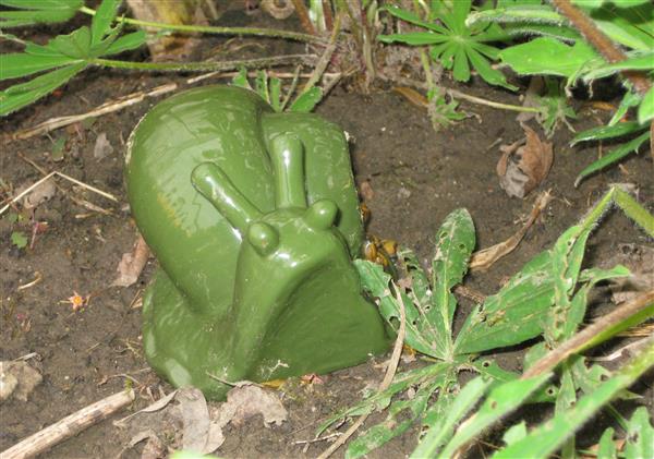 Grote foto slakkenval keramiek fy04 dieren en toebehoren overige