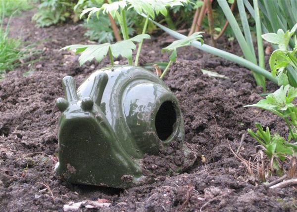 Grote foto slakkenval keramiek fy04 dieren en toebehoren overige