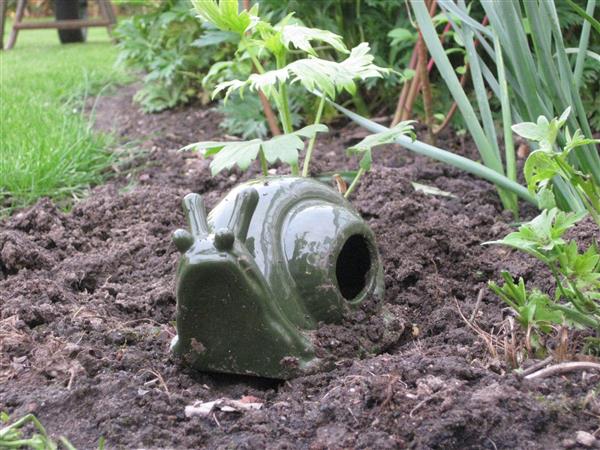 Grote foto slakkenval keramiek fy04 dieren en toebehoren overige