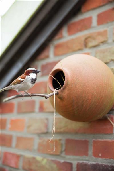 Grote foto nestkast vogelpot voor mezen en mussen steen nk14 dieren en toebehoren overige