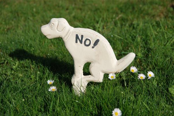 Grote foto hondenbordje no hier niet poepen gietijzer l wit hb14 dieren en toebehoren overige