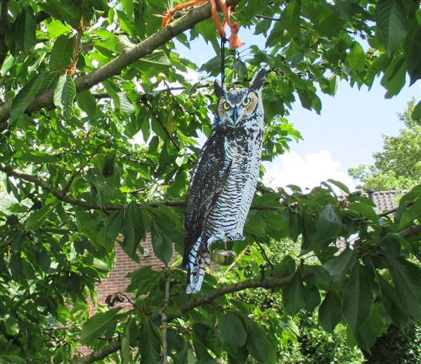 Grote foto vogelverschrikker oehoe uil fb142 huis en inrichting overige huis en inrichting