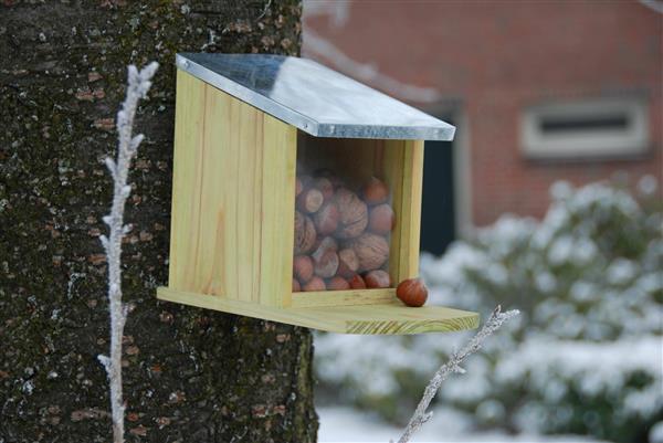 Grote foto eekhoorn voederhuisje wa09 dieren en toebehoren overige