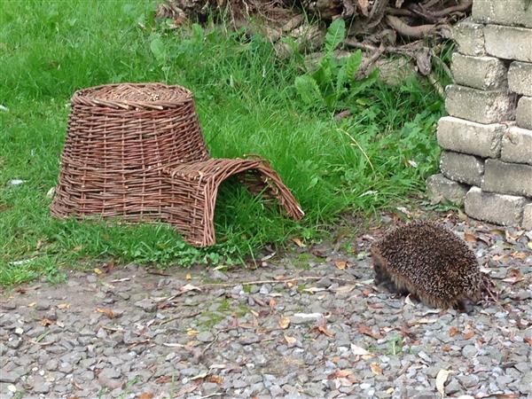 Grote foto egelmand egelhuis wilgen riet wa06 dieren en toebehoren overige