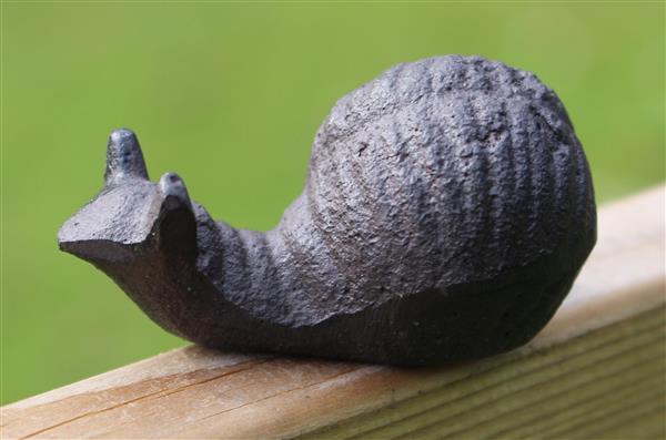 Grote foto dierenbeeld slakje gietijzer sg110 tuin en terras tuindecoratie
