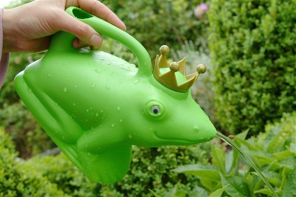 Grote foto gieter kikkerkoning met gouden kroon groen tg68 tuin en terras overige tuin en terras