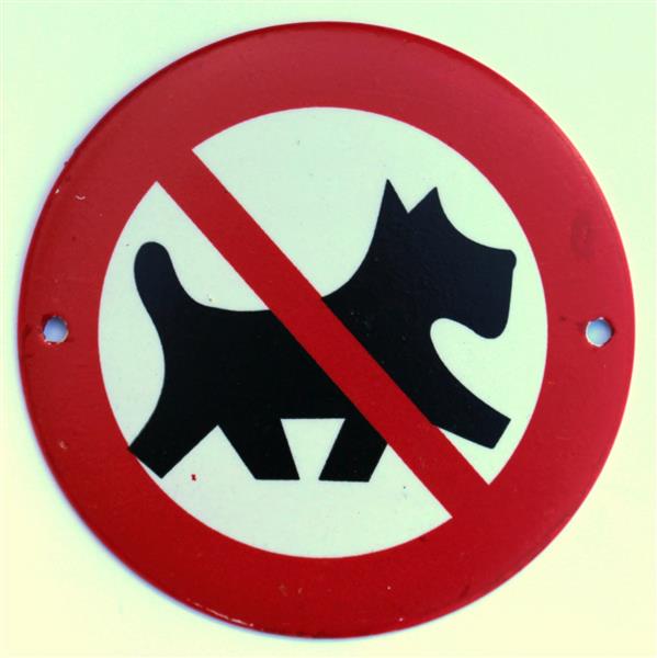 Grote foto hondenbordje verboden voor honden met rode rand hb101 verzamelen overige verzamelingen