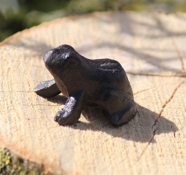 Grote foto kikker klein gietijzer kg332 tuin en terras tuindecoratie