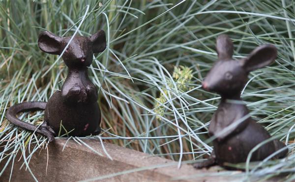 Grote foto muis dansend duo set mg310 tuin en terras tuindecoratie