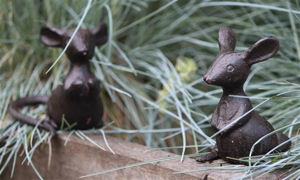 Grote foto muis dansend duo set mg310 tuin en terras tuindecoratie